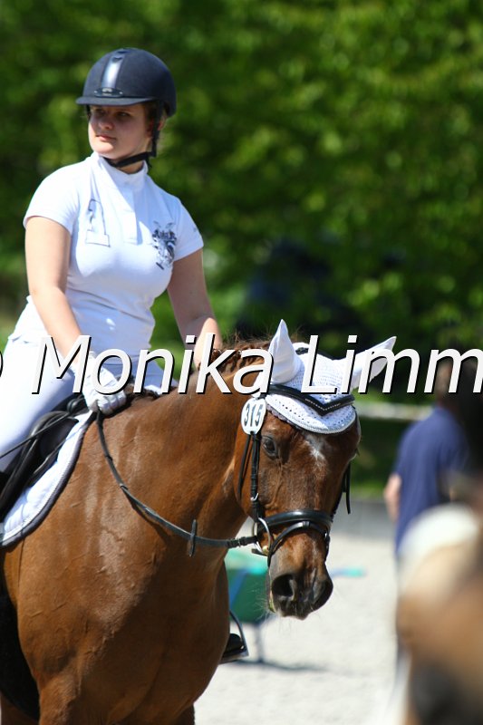 005M5469_Egiptas_Stil E.JPG